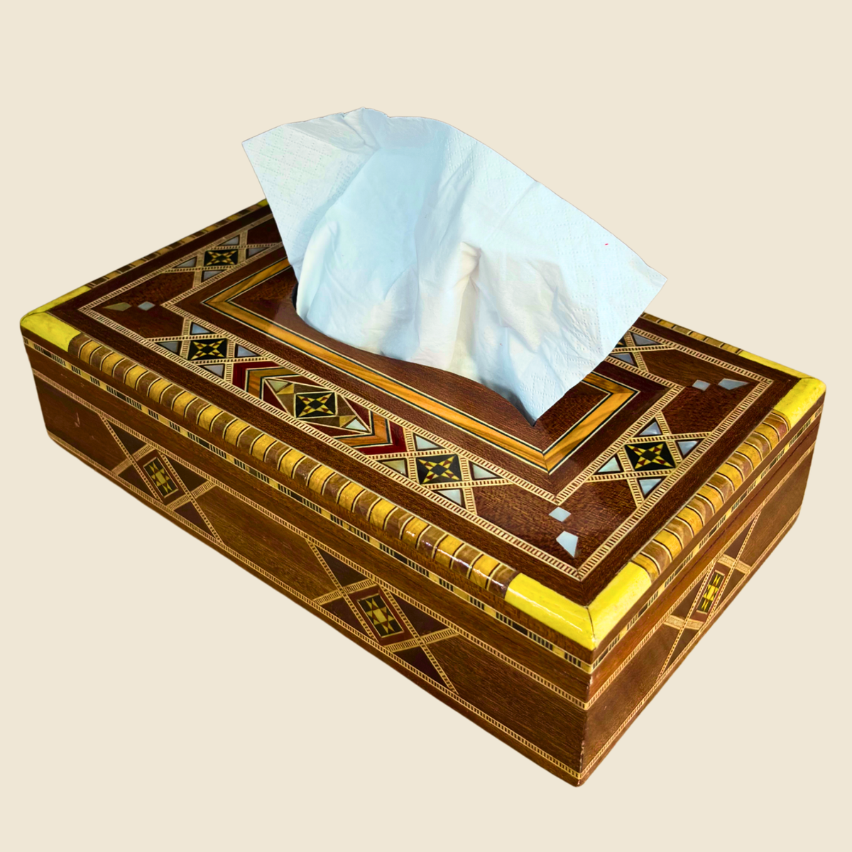 Terra Mosaic Tissue Box in a warm terracotta rose tone with mother-of-pearl inlay, shown from the front